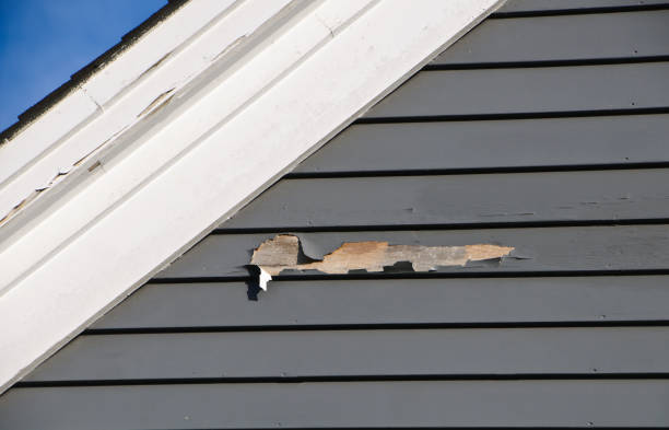 Best Garage Cleanout  in Windy Hills, KY