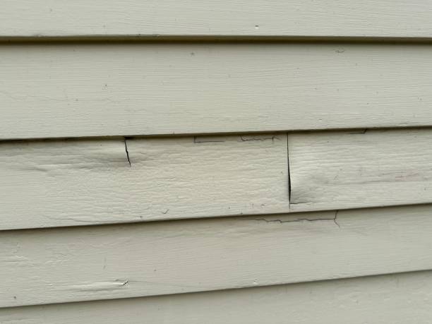Best Demolition Debris Removal  in Windy Hills, KY